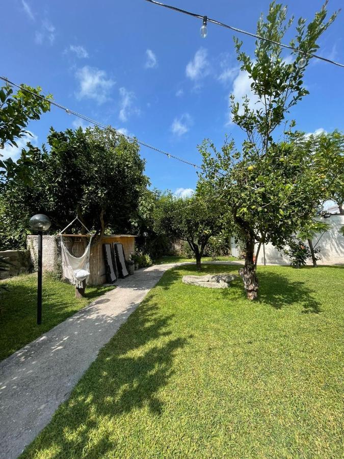 Garden Apartments Ischia Super Centrale Forio  Екстер'єр фото