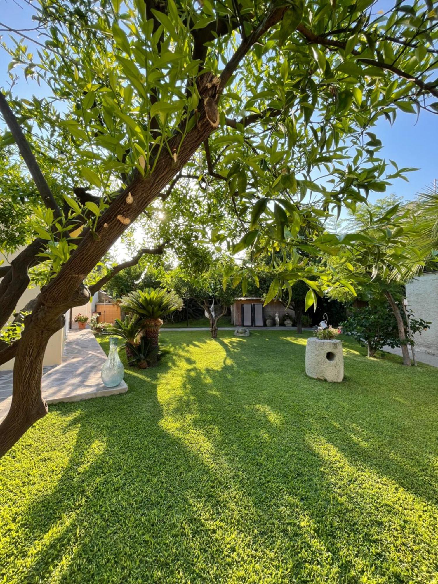 Garden Apartments Ischia Super Centrale Forio  Екстер'єр фото