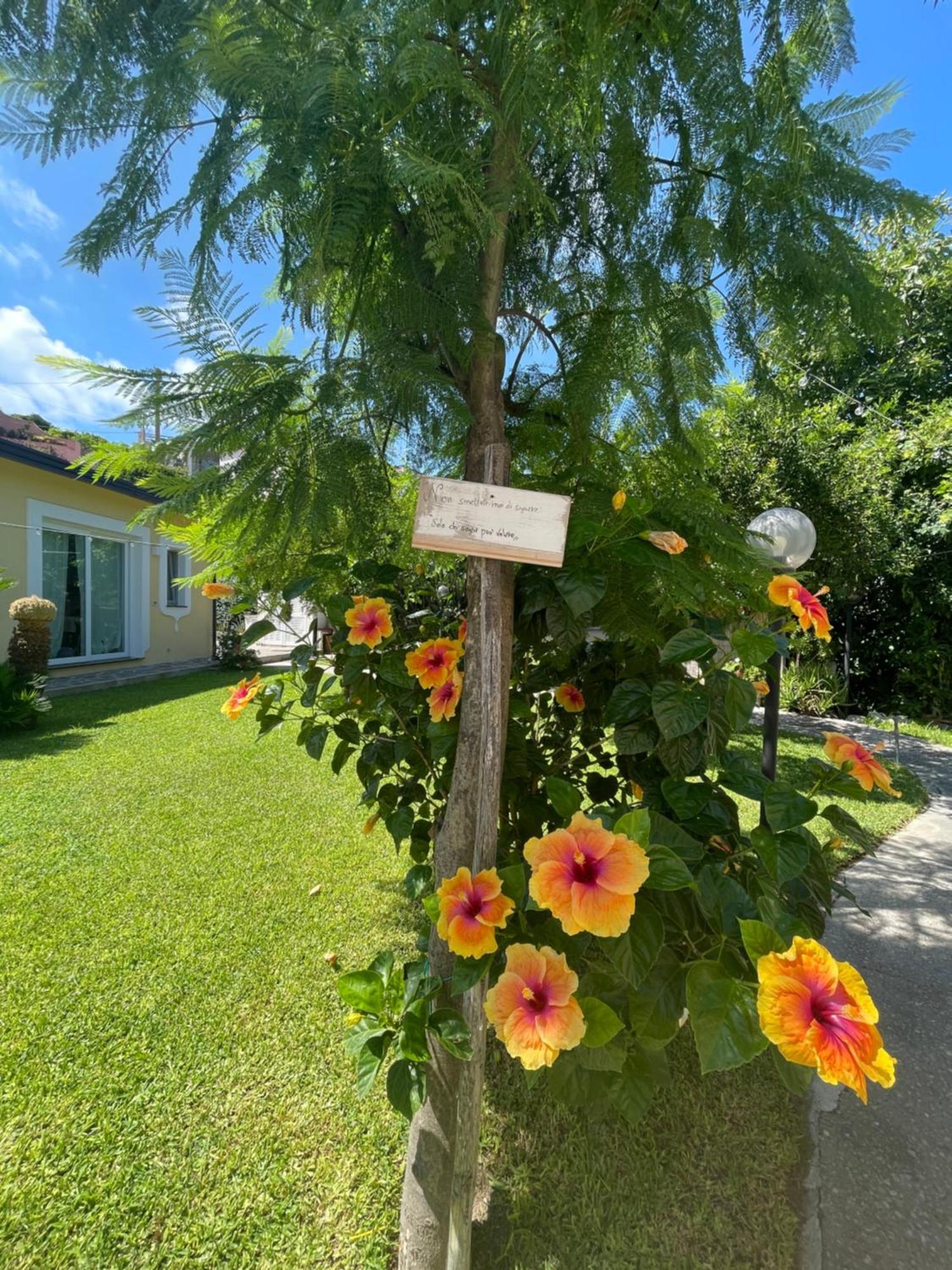 Garden Apartments Ischia Super Centrale Forio  Екстер'єр фото